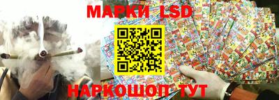 марки nbome Новозыбков