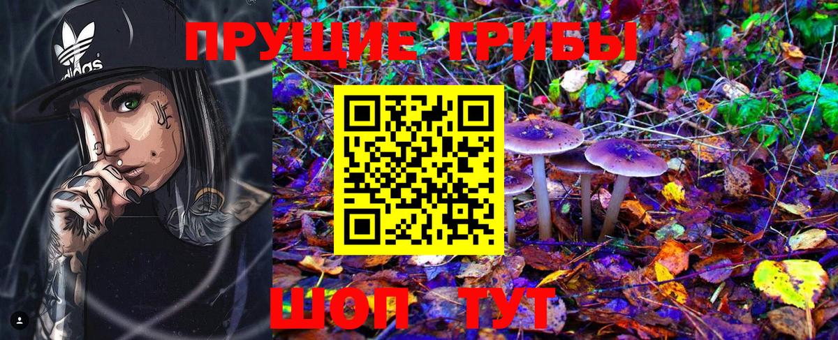 цены   Галлюциногенные грибы GOLDEN TEACHER  Вход с VPN  Пушкино 